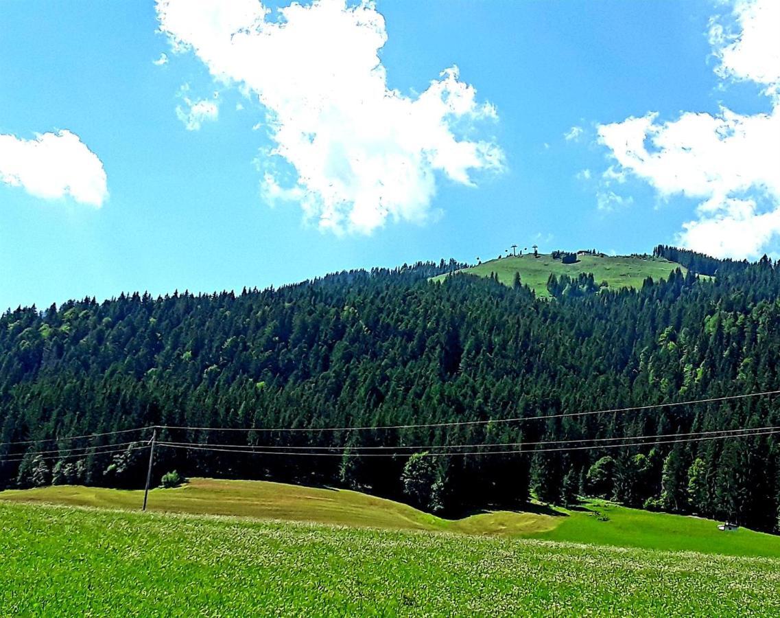 Ferienwohnung Ager-Bucher Ellmau Buitenkant foto